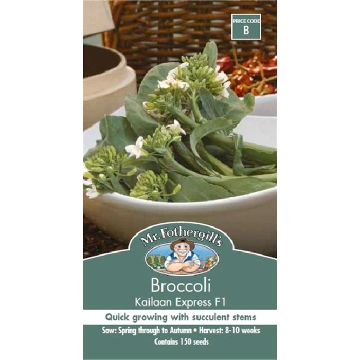Mr Fothergill's Broccoli Kailaan Express F1 Seeds