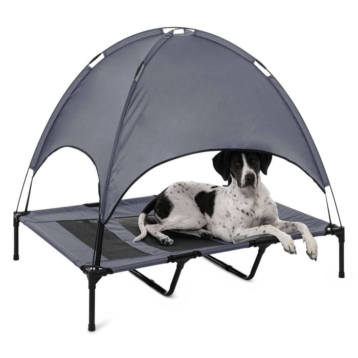 Charlies Elevated Dog Bed With Tent Grey - Extra Large