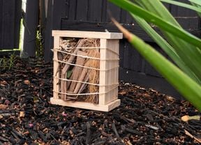 DIY Advice Image - How to make a bug hotel. Elvis and Personal SharePoints blob storage upload.
