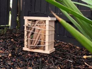 DIY Advice Image - How to make a bug hotel. Elvis and Personal SharePoints blob storage upload.