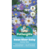 Fothergill's Swan River Daisy Summer Sky Flower Seeds
