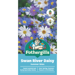Fothergill's Swan River Daisy Summer Sky Flower Seeds