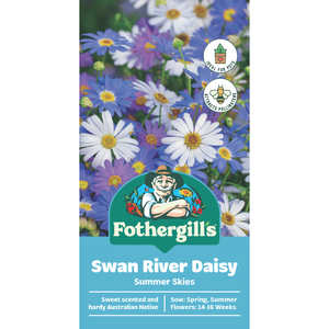 Fothergill's Swan River Daisy Summer Sky Flower Seeds