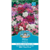 Mr Fothergill's Seed Phlox Brilliancy