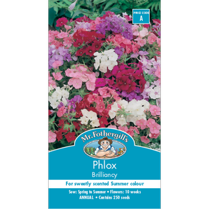 Mr Fothergill's Seed Phlox Brilliancy