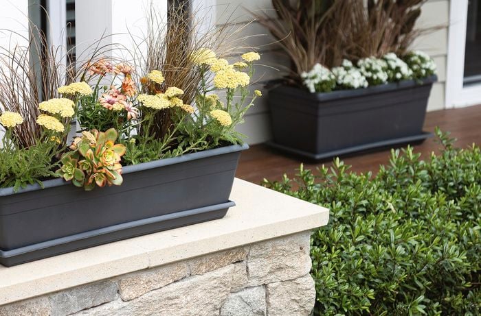 Northcote Pottery ‘Villa’ plastic troughs filled with flowers on a front porch