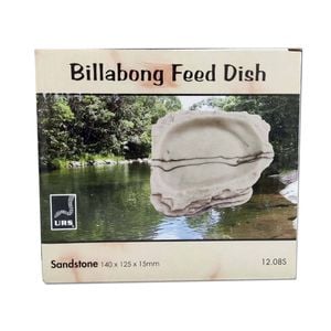 Urs Billabong Reptile Feeding Dish Sandstone Colour