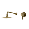 Alfresco Water Brushed Brass Outdoor/Indoor Rain Head Shower & Mixer 316 Stainless Steel