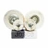 Josco Jumbo Grinder Metal Polishing Kit