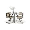 Milari 5 PCE Round 120cm Black Dining Set with Rattan Cantilever Chairs