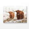 Small & Big Highland Cow Print 100% Australian Made 180x120cm (Stretched Canvas)