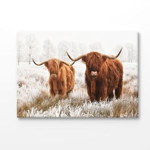 Small & Big Highland Cow Print 100% Australian Made 180x120cm (Stretched Canvas)