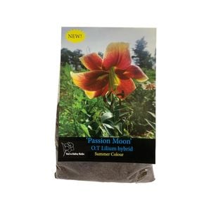Yarra Valley Bulbs Lilium Passion Moon - 1 Pack