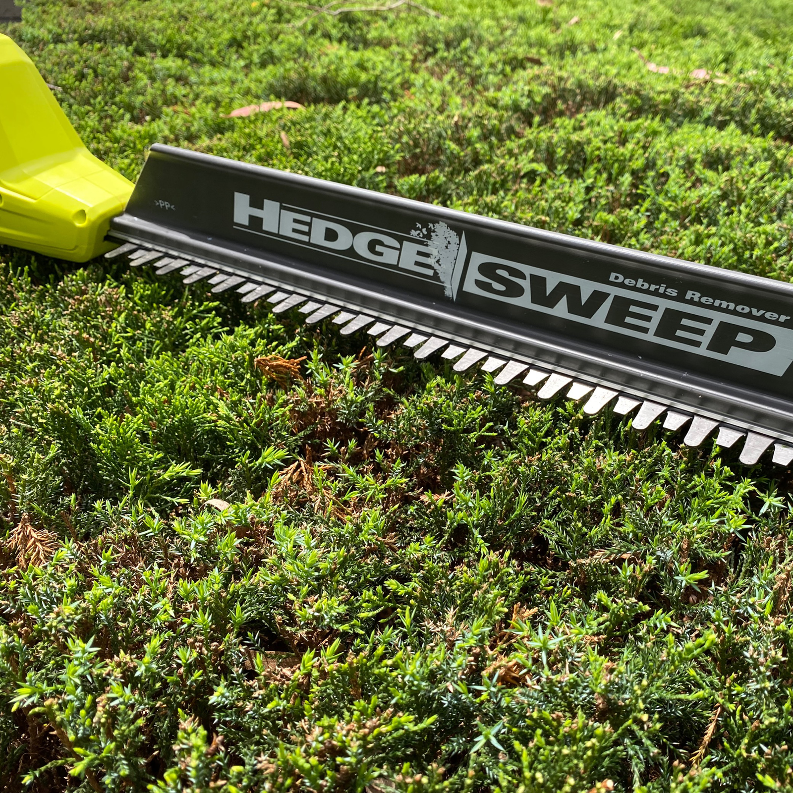 Hedge sweep debris remover hotsell