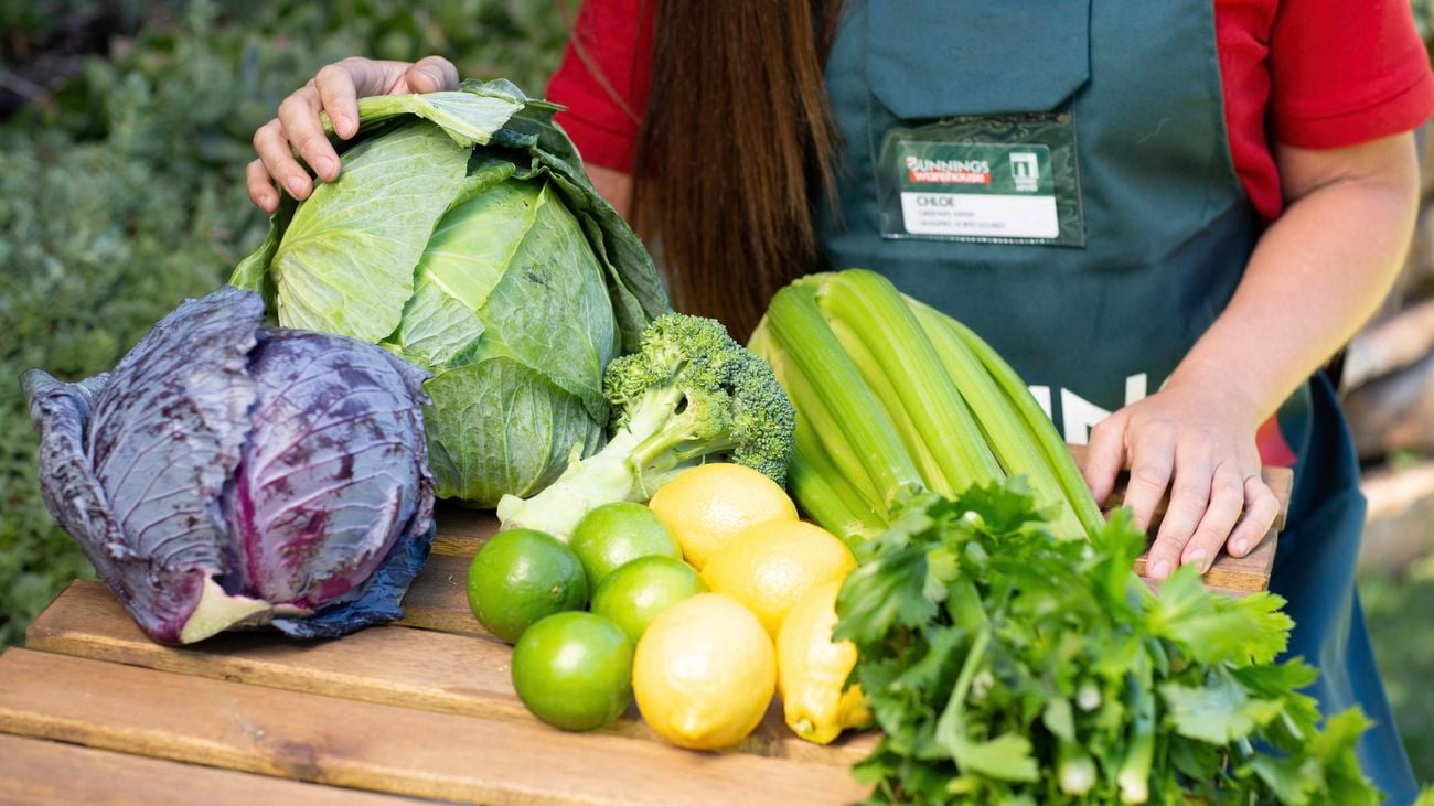 Harvest of various fruit and vegetable sitting on an outdoor table including broccoli, limes, lemons, celery and lettuce