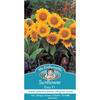 Mr Fothergill's Sunflower Envy F1 Seed