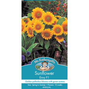 Mr Fothergill's Sunflower Envy F1 Seed