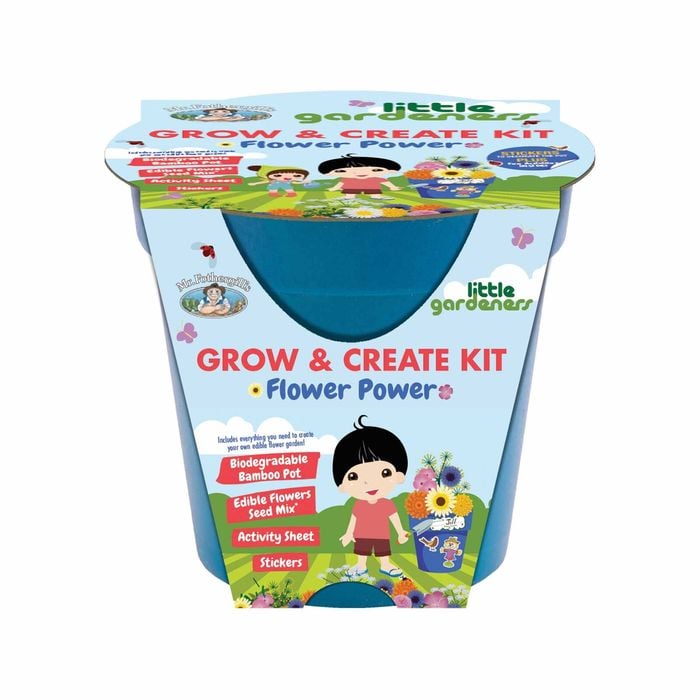 Mr Fothergill's Little Gardeners Flower Power Grow And Create Kit - Flower Power