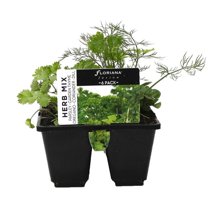 6 Cell Herb Mix - Fusion Herb Range