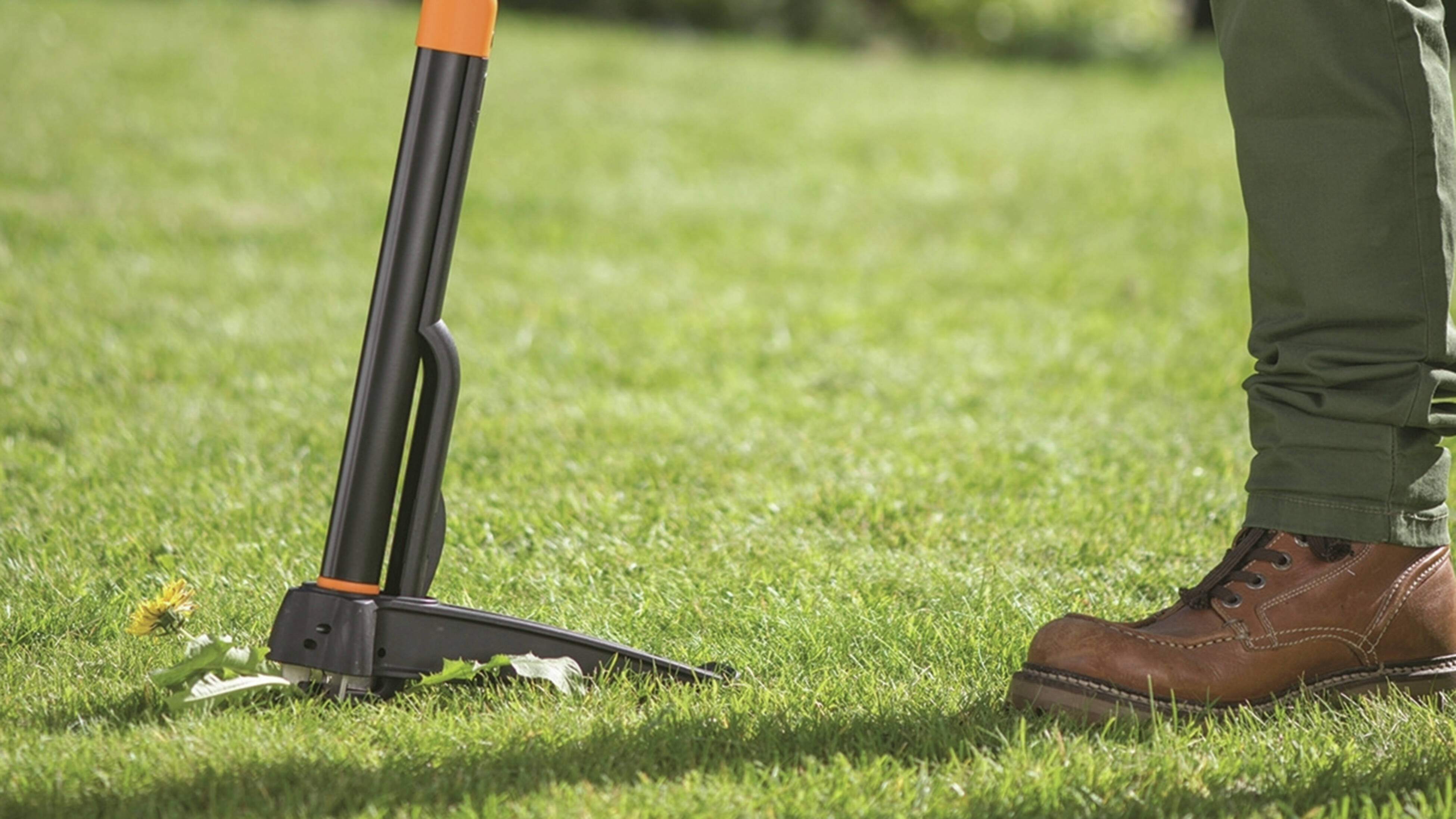 A close-up of a person wearing brown boots and green pants using a black and orange weed puller on a grassy lawn