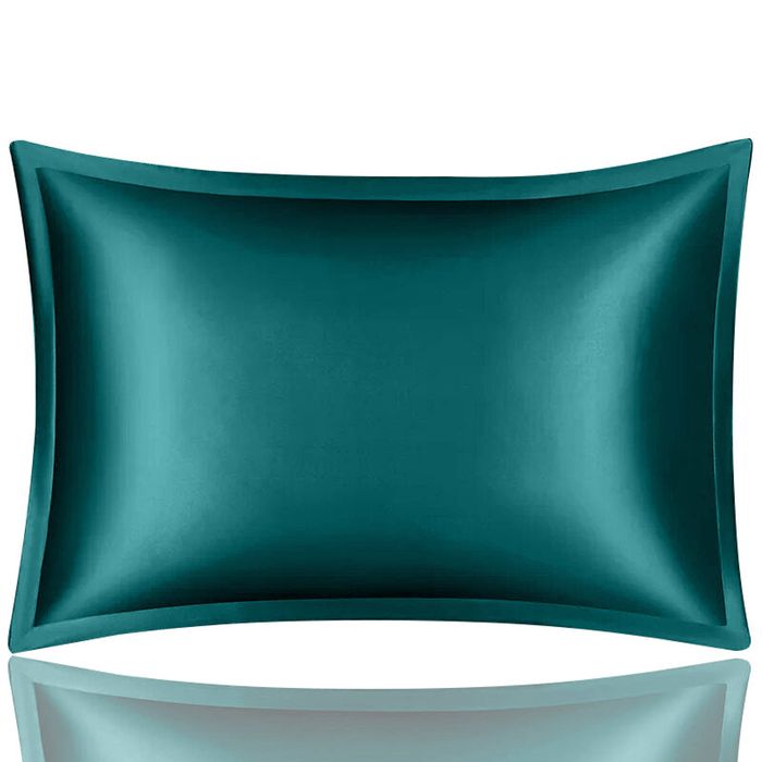Anypillow Pillowcase 50x90cm Teal Pure Real Silk
