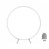 2m White Wedding Hoop Arch Metal Flower Ring Display Frame Balloon Circle Rack