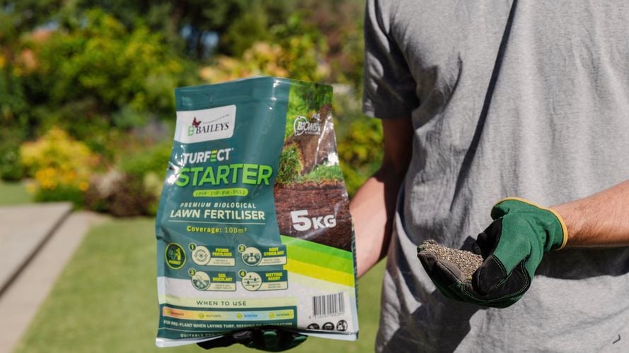 Person holding handful of turfect starter with perfect lawn in background.