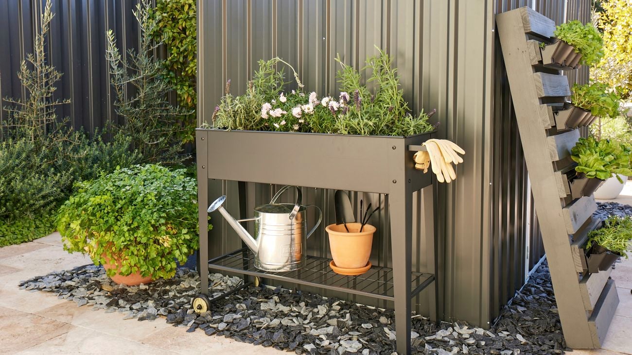 Side of a dark shed beside a garden bed, pot plant and garden accessories