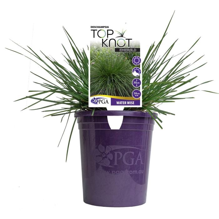 140mm Deschampsia TOP KNOT Emerald