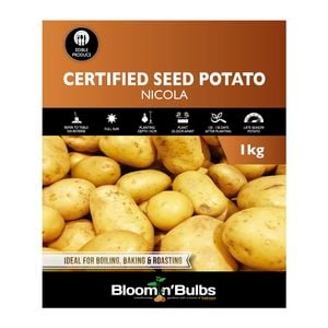 Bloomin' Bulbs 1kg Certified Seed Potato Nicola