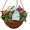 27cm Plant Hanging Basket 