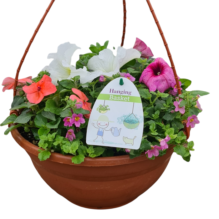 27cm Plant Hanging Basket 