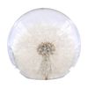 Leni Handcrafted Floral Resin Sphere W/ Real Dandelion Flowers Clear 8x7.5cm