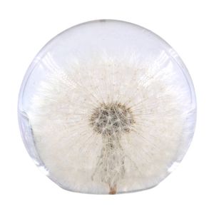 Leni Handcrafted Floral Resin Sphere W/ Real Dandelion Flowers Clear 8x7.5cm
