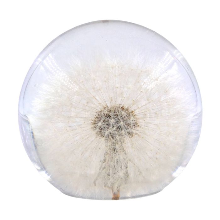 Leni Handcrafted Floral Resin Sphere W/ Real Dandelion Flowers Clear 8x7.5cm