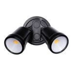 Brilliant Black Raptor III Twin Flood Light