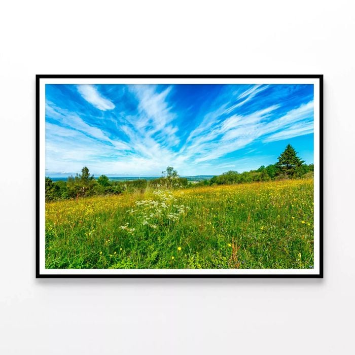 Flowering Meadow with Cloud  Print 100% Australian Made 120x90cm  (Poster)