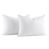 Royal Comfort Hotel Cooling Comfort Pillow 2 Pack 50x75cm White White Standard