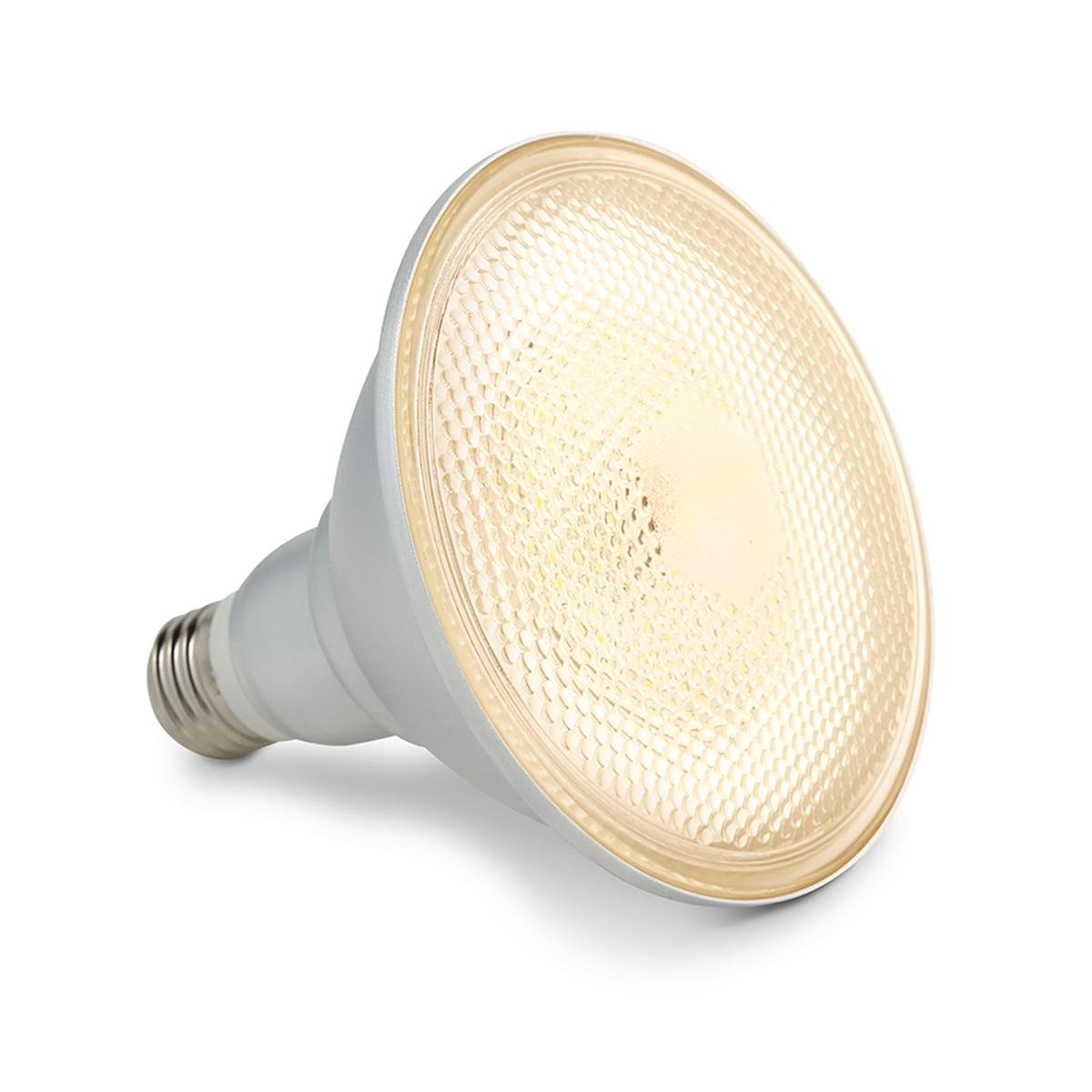 HPM PAR38 E27 LED Lamp Globe Bunnings Australia