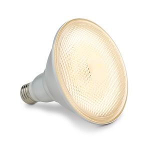 HPM PAR38 E27 LED Lamp Globe
