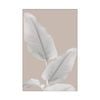Artey | Blush Paridise II - Stretched Canvas - Stretched Canvas - 40 x 60cm