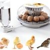 Fohoa 12 Eggs Digital Automatic Egg Incubator - Hatching Eggs With Fully Automatic Turner And Humidity Control