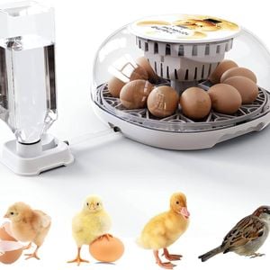 Fohoa 12 Eggs Digital Automatic Egg Incubator - Hatching Eggs With Fully Automatic Turner And Humidity Control