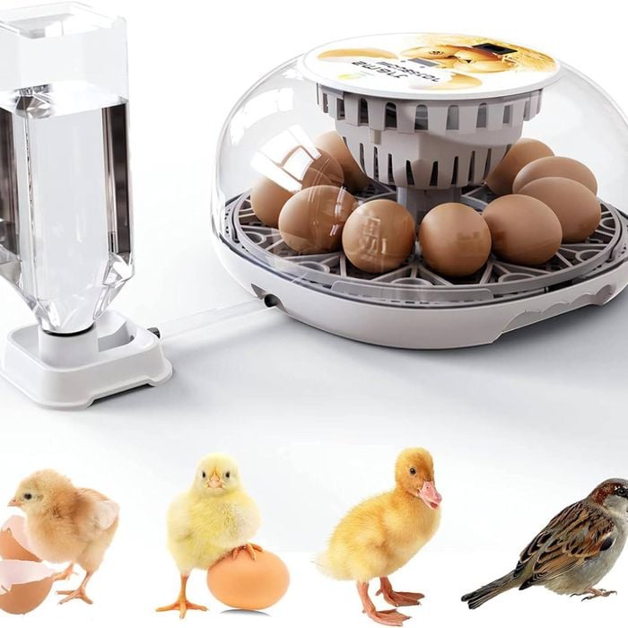 Fohoa 12 Eggs Digital Automatic Egg Incubator - Hatching Eggs With Fully Automatic Turner And Humidity Control