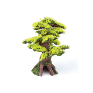 Kazoo Bonsai Plant Small (18788)