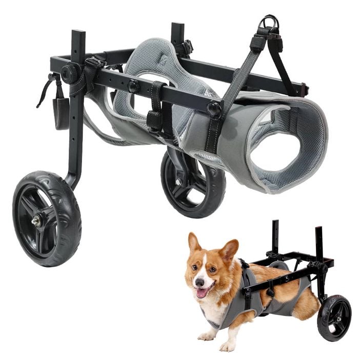 Advwin Medium Dog Wheelchair for Back Legs Mobility Support Lightweight Pet Wheelchair