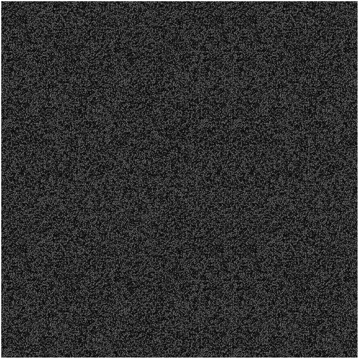 Standard Carpets 100 x 100cm Zeta Polypropylene Carpet Tile
