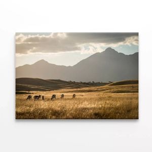 Group of Animals in a Field   Print 100% Australian Made 120 x 90cm  (Stretched)