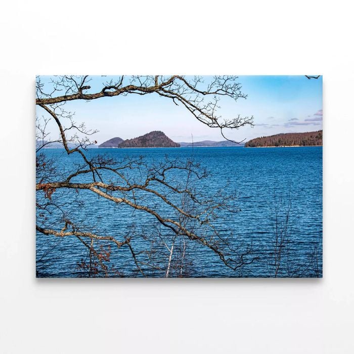 Tree with a Lake & Mountains  Print 100% Australian Made 90 x 60cm  (Stretched)