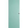 Hume 2040 x 870 x 35mm External Door SPM Flush X1